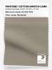 Artikelbild 1 des Artikels “PANTONE® COTTON SWATCH CARD 16-1107 TCX Aluminum “