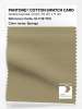 Product image 1 of the product “PANTONE® COTTON SWATCH CARD 16-1118 TCX Sponge ”