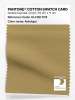 Artikelbild 1 des Artikels “PANTONE® COTTON SWATCH CARD 16-1126 TCX Antelope “
