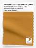 Artikelbild 1 des Artikels “PANTONE® COTTON SWATCH CARD 16-1148 TCX Nugget “
