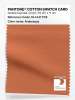 Artikelbild 1 des Artikels “PANTONE® COTTON SWATCH CARD 16-1441 TCX Arabesque “