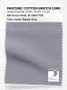 Product image 1 of the product “PANTONE® COTTON SWATCH CARD 16-3907 TCX Dapple Gray ”