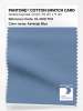 Artikelbild 1 des Artikels “PANTONE® COTTON SWATCH CARD 16-4018 TCX Ashleigh Blue “