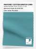 Product image 1 of the product “PANTONE® COTTON SWATCH CARD 16-4719 TCX Porcelain ”