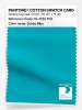Artikelbild 1 des Artikels “PANTONE® COTTON SWATCH CARD 16-4725 TCX Scuba Blue “