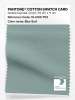 Artikelbild 1 des Artikels “PANTONE® COTTON SWATCH CARD 16-5106 TCX Blue Surf “