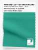 Product image 1 of the product “PANTONE® COTTON SWATCH CARD 16-5721 TCX Marine Green ”