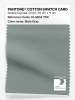 Product image 1 of the product “PANTONE® COTTON SWATCH CARD 16-5804 TCX Slate Gray ”