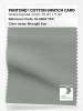 Product image 1 of the product “PANTONE® COTTON SWATCH CARD 16-5904 TCX Wrought Iron ”
