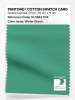 Product image 1 of the product “PANTONE® COTTON SWATCH CARD 16-5924 TCX Winter Green ”