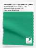 Artikelbild 1 des Artikels “PANTONE® COTTON SWATCH CARD 16-5930 TCX Ming Green “