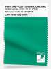 Artikelbild 1 des Artikels “PANTONE® COTTON SWATCH CARD 16-5932 TCX Holly Green “