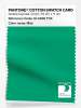 Product image 1 of the product “PANTONE® COTTON SWATCH CARD 16-5938 TCX Mint ”