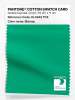 Product image 1 of the product “PANTONE® COTTON SWATCH CARD 16-5942 TCX Blarney ”