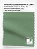 Artikelbild 1 des Artikels “PANTONE® COTTON SWATCH CARD 16-6116 TCX Shale Green “