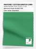 Product image 1 of the product “PANTONE® COTTON SWATCH CARD 16-6127 TCX Greenbriar ”