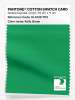 Product image 1 of the product “PANTONE® COTTON SWATCH CARD 16-6138 TCX Kelly Green ”