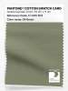 Product image 1 of the product “PANTONE® COTTON SWATCH CARD 17-0115 TCX Oil Green ”