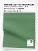 Artikelbild 1 des Artikels “PANTONE® COTTON SWATCH CARD 17-0123 TCX Stone Green “