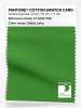 Product image 1 of the product “PANTONE® COTTON SWATCH CARD 17-0145 TCX Online Lime ”