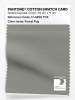 Artikelbild 1 des Artikels “PANTONE® COTTON SWATCH CARD 17-0209 TCX Forest Fog “