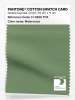Product image 1 of the product “PANTONE® COTTON SWATCH CARD 17-0220 TCX Watercress ”