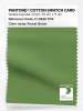 Product image 1 of the product “PANTONE® COTTON SWATCH CARD 17-0230 TCX Forest Green ”