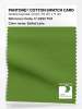 Artikelbild 1 des Artikels “PANTONE® COTTON SWATCH CARD 17-0232 TCX Salted Lime “