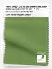 Product image 1 of the product “PANTONE® COTTON SWATCH CARD 17-0235 TCX Piquant Green ”