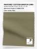 Product image 1 of the product “PANTONE® COTTON SWATCH CARD 17-0620 TCX Aloe ”