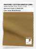 Product image 1 of the product “PANTONE® COTTON SWATCH CARD 17-0942 TCX Medal Bronze ”