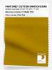 Product image 1 of the product “PANTONE® COTTON SWATCH CARD 17-0949 TCX Chai Tea ”