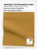Product image 1 of the product “PANTONE® COTTON SWATCH CARD 17-1040 TCX Spruce Yellow ”