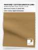 Product image 1 of the product “PANTONE® COTTON SWATCH CARD 17-1045 TCX Apple Cinnamon ”