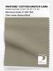 Product image 1 of the product “PANTONE® COTTON SWATCH CARD 17-1107 TCX Seneca Rock ”