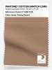 Artikelbild 1 des Artikels “PANTONE® COTTON SWATCH CARD 17-1226 TCX Tawny Brown “