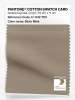 Product image 1 of the product “PANTONE® COTTON SWATCH CARD 17-1312 TCX Silver Mink ”