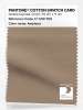 Product image 1 of the product “PANTONE® COTTON SWATCH CARD 17-1319 TCX Amphora ”