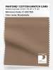 Product image 1 of the product “PANTONE® COTTON SWATCH CARD 17-1321 TCX Woodsmoke ”
