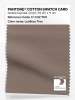 Artikelbild 1 des Artikels “PANTONE® COTTON SWATCH CARD 17-1412 TCX Leafless Tree “