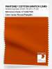 Artikelbild 1 des Artikels “PANTONE® COTTON SWATCH CARD 17-1449 TCX Pureed Pumpkin “