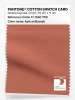 Product image 1 of the product “PANTONE® COTTON SWATCH CARD 17-1540 TCX Apricot Brandy ”