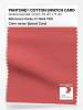 Product image 1 of the product “PANTONE® COTTON SWATCH CARD 17-1644 TCX Spiced Coral ”