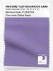 Product image 1 of the product “PANTONE® COTTON SWATCH CARD 17-3730 TCX Paisley Purple ”
