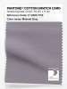 Artikelbild 1 des Artikels “PANTONE® COTTON SWATCH CARD 17-3906 TCX Minimal Gray “