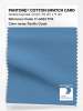 Artikelbild 1 des Artikels “PANTONE® COTTON SWATCH CARD 17-4033 TCX Pacific Coast “