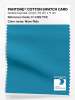 Artikelbild 1 des Artikels “PANTONE® COTTON SWATCH CARD 17-4129 TCX Wave Ride “