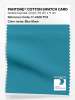 Artikelbild 1 des Artikels “PANTONE® COTTON SWATCH CARD 17-4328 TCX Blue Moon “