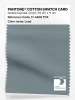 Artikelbild 1 des Artikels “PANTONE® COTTON SWATCH CARD 17-4408 TCX Lead “