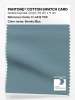 Artikelbild 1 des Artikels “PANTONE® COTTON SWATCH CARD 17-4412 TCX Smoke Blue “